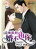 《总统谋妻:婚不由你》 作者:李不言