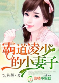 霸道凌少的小妻子完整版免费