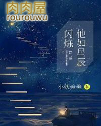 他如星辰闪烁小说