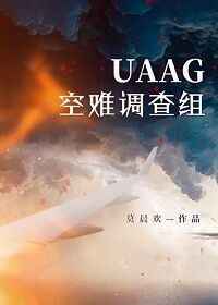 uaag空难调查组讲的什么