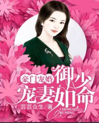 豪门少爷宠妻