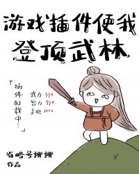 游戏插件使我登顶武林92