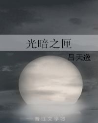 《暗之光》