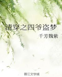 《清穿之四爷盗梦》作者:千芳魏紫