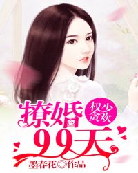 权少贪欢:撩婚99天 小说