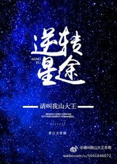 娱乐圈之星途小说