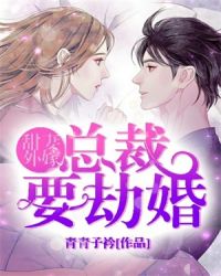 甜妻外嫁总裁要劫婚漫画