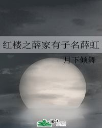 红楼之薛家有子名薛虹格格