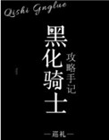 《黑化骑士攻略手记》