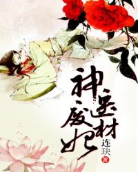 神医废材妃简介