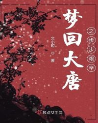 梦回大唐小说阅读