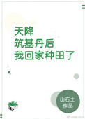 天降筑基丹后我回家种田了百度云