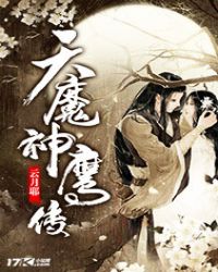 《神鹰天降》小说