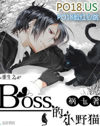 重生之boss的小野猫全文阅读