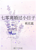 七零离婚过小日子桃花露全文