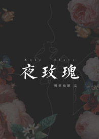 夜玫瑰讲的什么