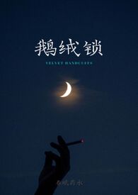 《鹅绒锁》小说