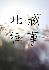 《遇见席北城》