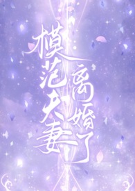 模范夫妻离婚了完结版