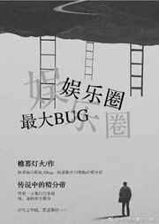 小说 娱乐圈bug