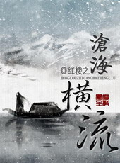 红楼之沧海洪流