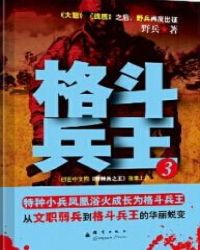 格斗兵王全三册txt