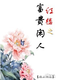 红楼之福气