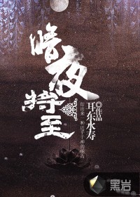 暗夜将至介绍