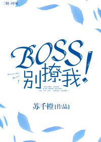 boss别撩我 小说