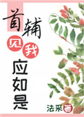 第四本:《首辅见我应如是》作者:法采