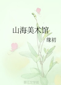 山海美术馆分析