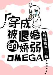 穿成被退婚的娇弱omega 晋江