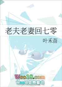 老夫老妻回七零叶禾苗百度网盘