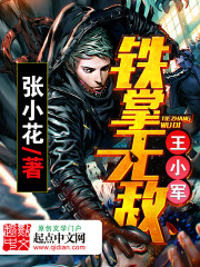 铁掌无敌王小军有声小说刘忙版