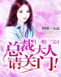 一胎三宝总裁大人追妻