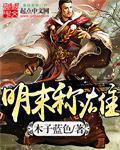 明末称雄epub