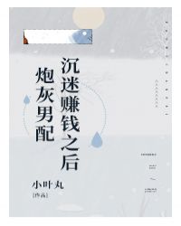 炮灰男配沉迷赚钱之后(穿越)——小叶丸