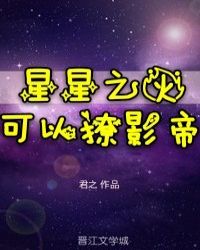 星星之火可以撩你txt