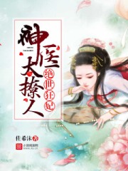 绝世神医宠妃 小说