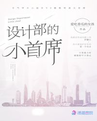 首席设计师的小说