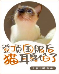 登顶国服后猫耳露馅了免费