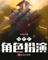 npc角色扮演是什么意思