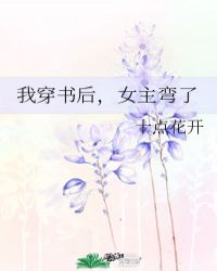 我穿越后女主弯了