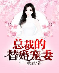 总裁的替婚宠妻