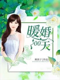 小说:暖婚100天