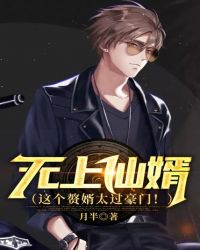 无上仙皇免费阅读全文