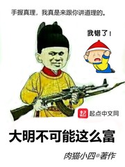 大明不可能这么富TXT下载