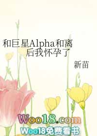 和巨星alpha和离后我怀孕了作者:新苗