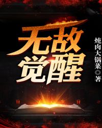 觉醒无敌系统