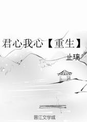 君心我心小说免费完整版